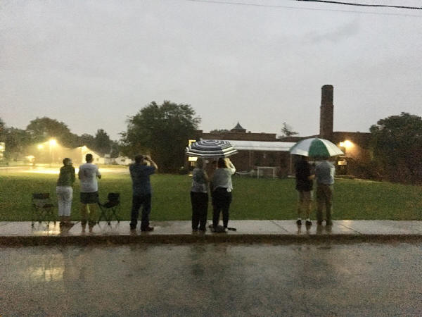 Chimney Swift Sit 2019