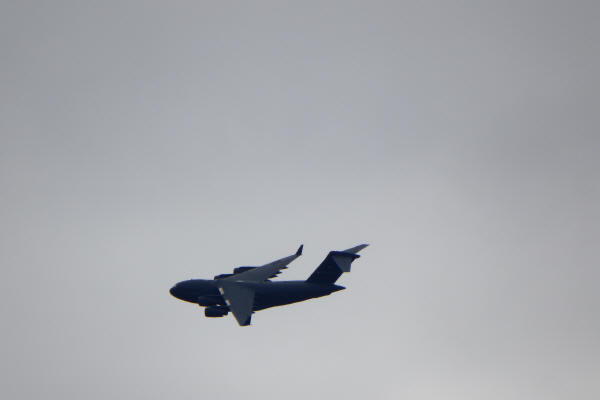 Military Bird